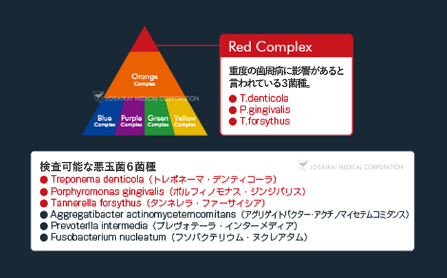 リアルタイムPCR検査（歯周病菌のDNA検査）